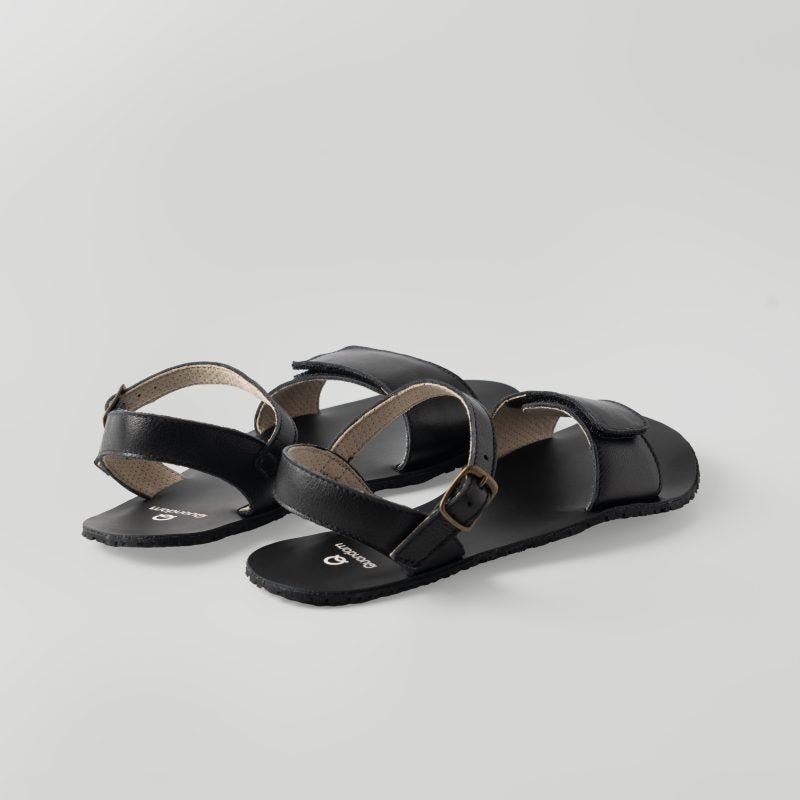 QUONDAM OASIS NEGRO - GARÓS